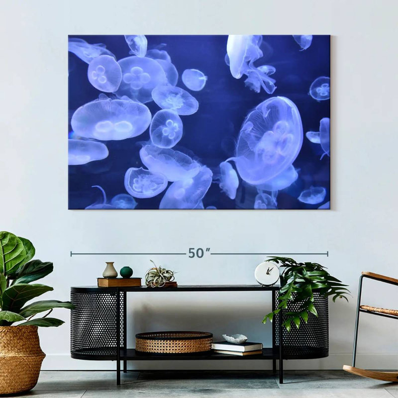 Sea Jellies, 34" H x 51" W