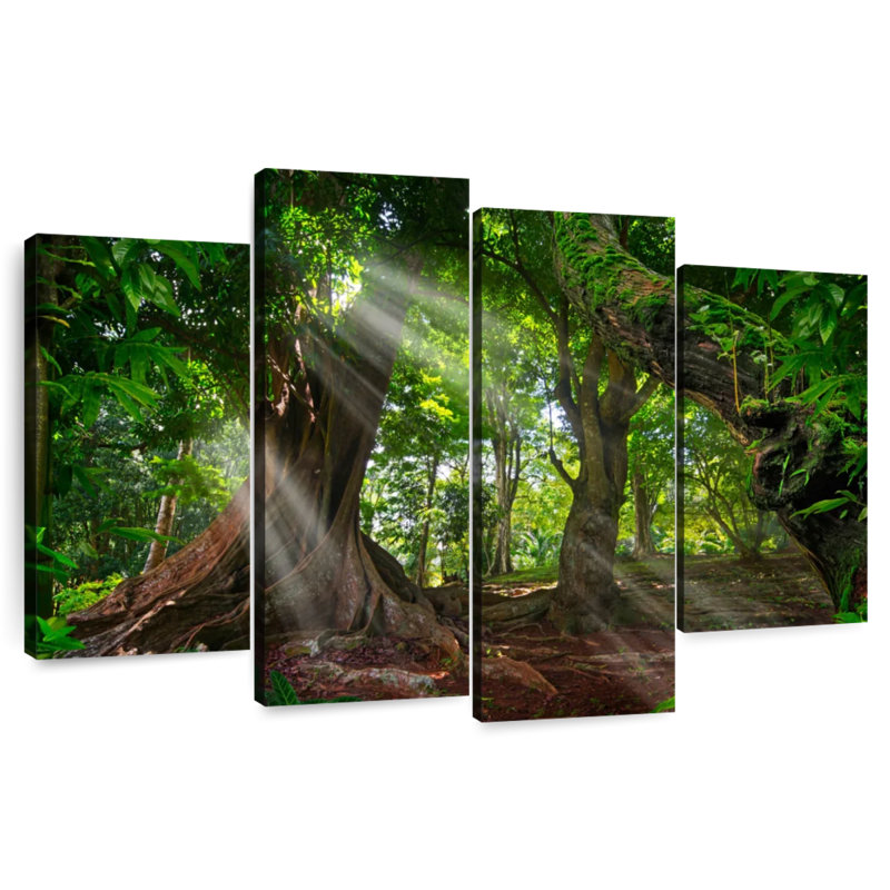 Alvord Sunlit Rainforest, 54" H x 84" W