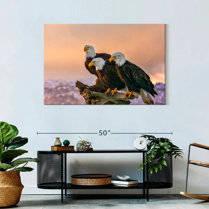 Brampt Three American Bald Eagles, 30" H x 45" W