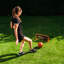 Football Flick Urban Mini Wall Rebounder