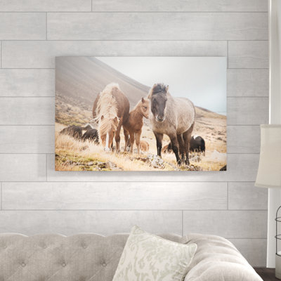 «Horses of Hofn I» par Laura Marshall - photographie sur toile