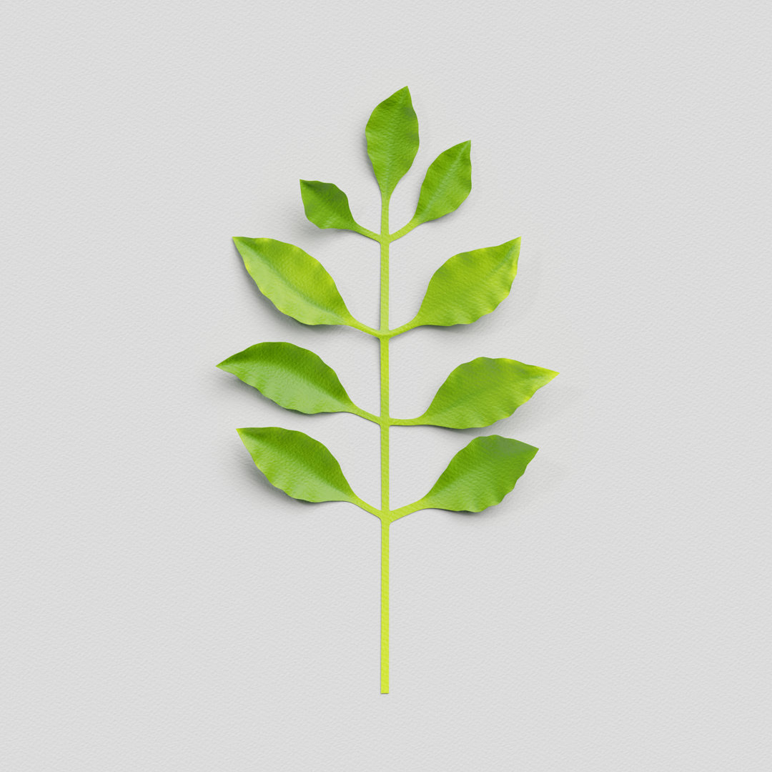 Green Tropical Leaf by Wacomka - Wrapped Canvas Photograph