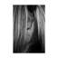 « timide eye », reproduction de photo sur toile tendue-30320067