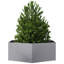 Alivya Metal Elevated Planter-1615744384-1611460448