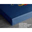 «Pennsylvania State Flag», impression sur toile tendue-691757744
