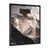 Black Picture Framed