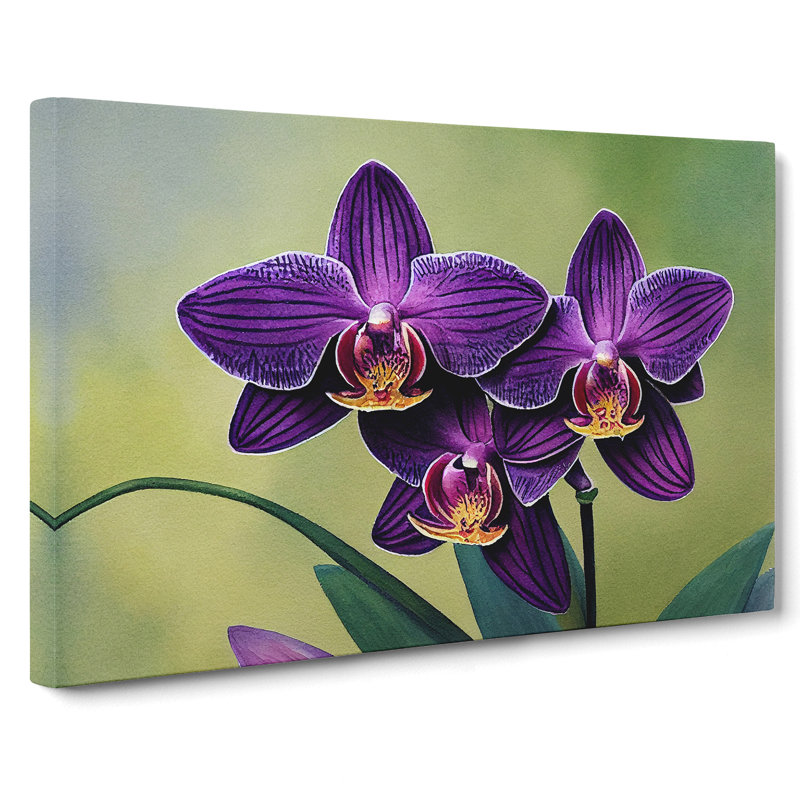 Gorgeous Orchid Flowers - Wrapped Canvas, 50cm H x 76cm W x 3cm D