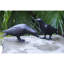 Corbeau en fonte Zaara
