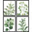 «Green Pastel Forest Fern Leaf», reproduction encadrée de 4 pièces-90605185-90605184