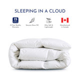Santa Barbara Heavyweight Down Duvet Insert
