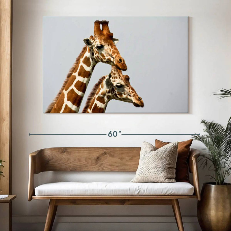 Brampt, girafes de Somali