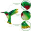 Macaro Animals Wall Decor