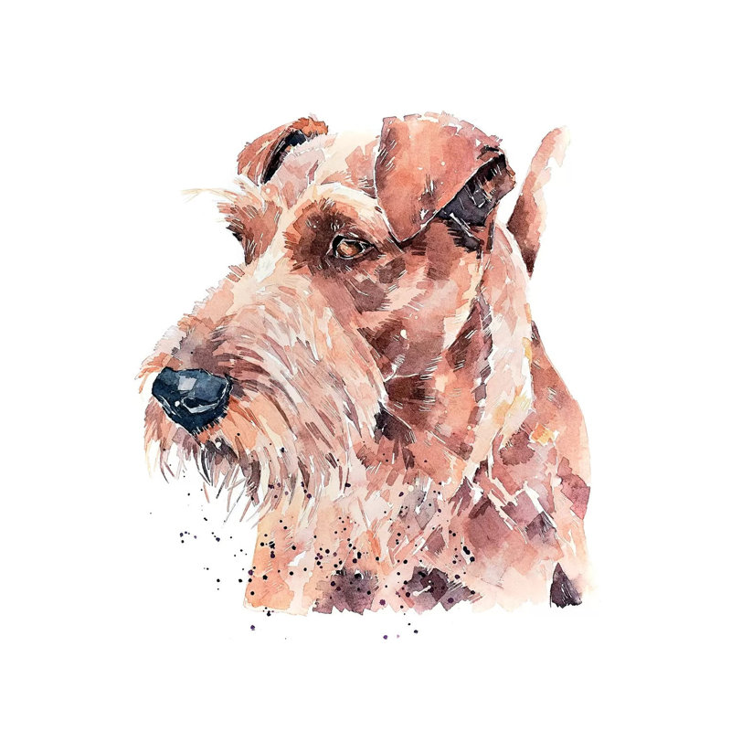 «Irish Terrier Pride» par EdsWatercolours - impression, H 26 po x l 26 po x P 1,5 po, Toile tendue, Pas de tapis