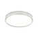 Arne 20.75 inch 1 Light Flush Mount in Matte Black