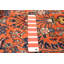 Tapis rouge clair noué à la main One Of Kind Anadol 2 pi 7 po x 10 pi 9 po