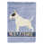Bull-terrier sélectionné