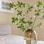 Tige de fausse branche de Pieris-2109992337