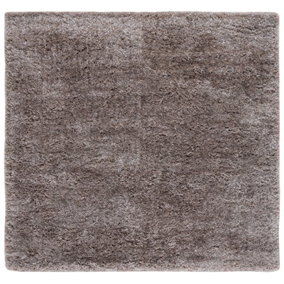 Indoor Rug