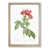 Oak Framed selected