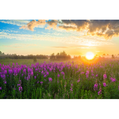«Blossoming Meadow» par Yanikap - Photographie sur toile tendue