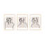 Figure And Form Print by Romina Gadler-395960278-395959850