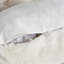 Coussin de dossier -526352725
