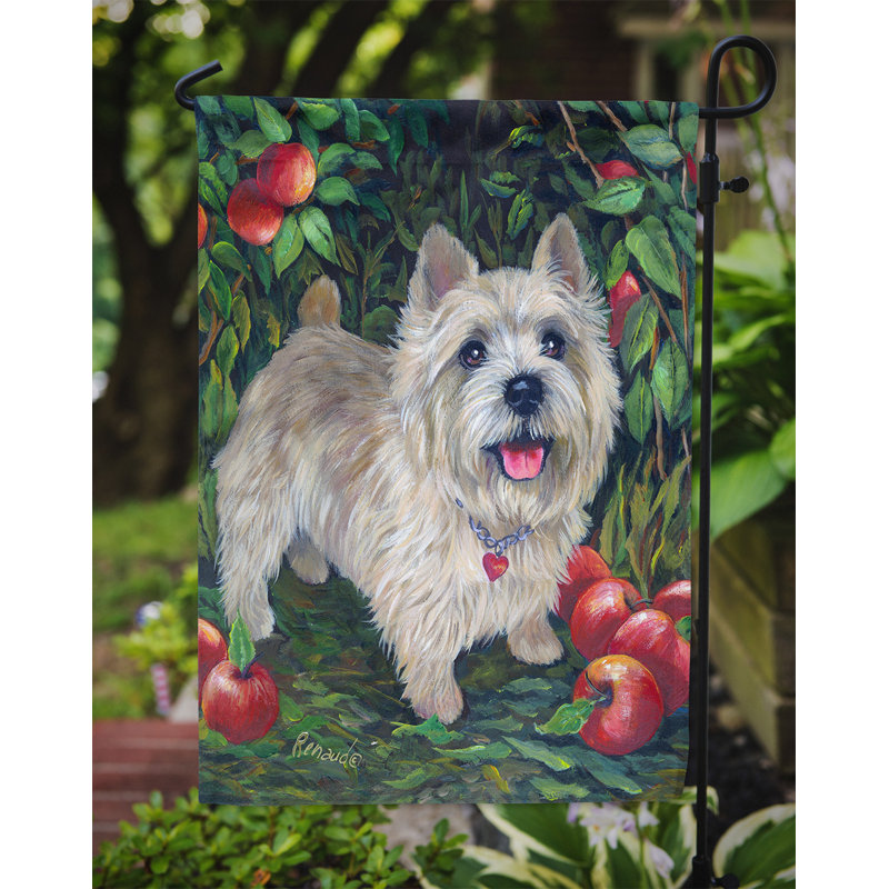 Drapeau de jardin en polyester à 2 côtés Graziello Bichon Frise Do It Better 1 x 0,11 pi, Norwich Terrier bosquet de pommes