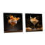 Bourbon Ballet Cocktail - Ensemble de 2 verres muraux en acrylique-602626184