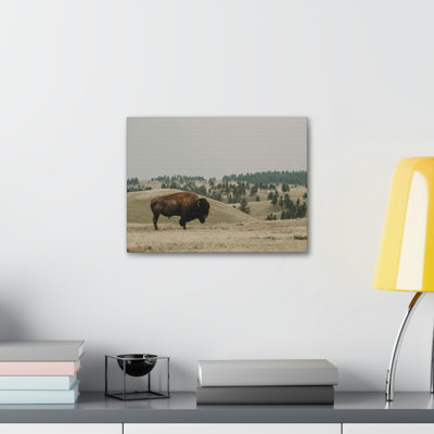 Impression de bison à la chasse