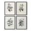 «Vintage Floral Print», impression encadrée, ensemble de 4-1516610804
