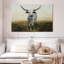 Brampt Knight en satin blanc I-107849144