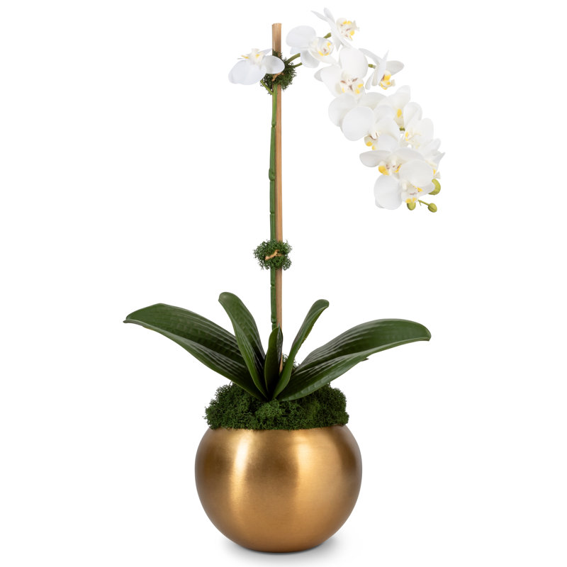 Adeline Gold Realtouch Orchid