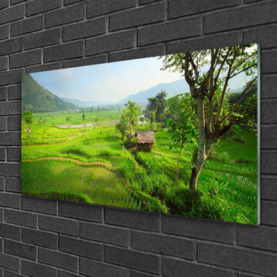 Glass Print Wall Art 100X50cm Image Printed On Glass Decorative Wall Picture Behind Toughened / Tempered Safety Real Glass For Kitchen & Living Room Theme: Meadow Nature