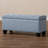 Joscelynn Upholstered Ottoman-1650739928