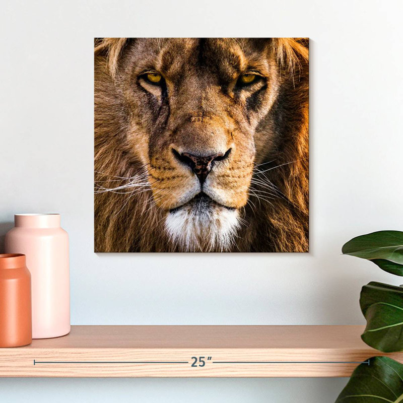 Tête de lion Brampt Regal, H 16 po x l 16 po