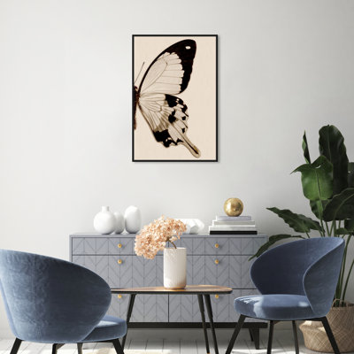 " Animals Sepia Butterfly II Insects "