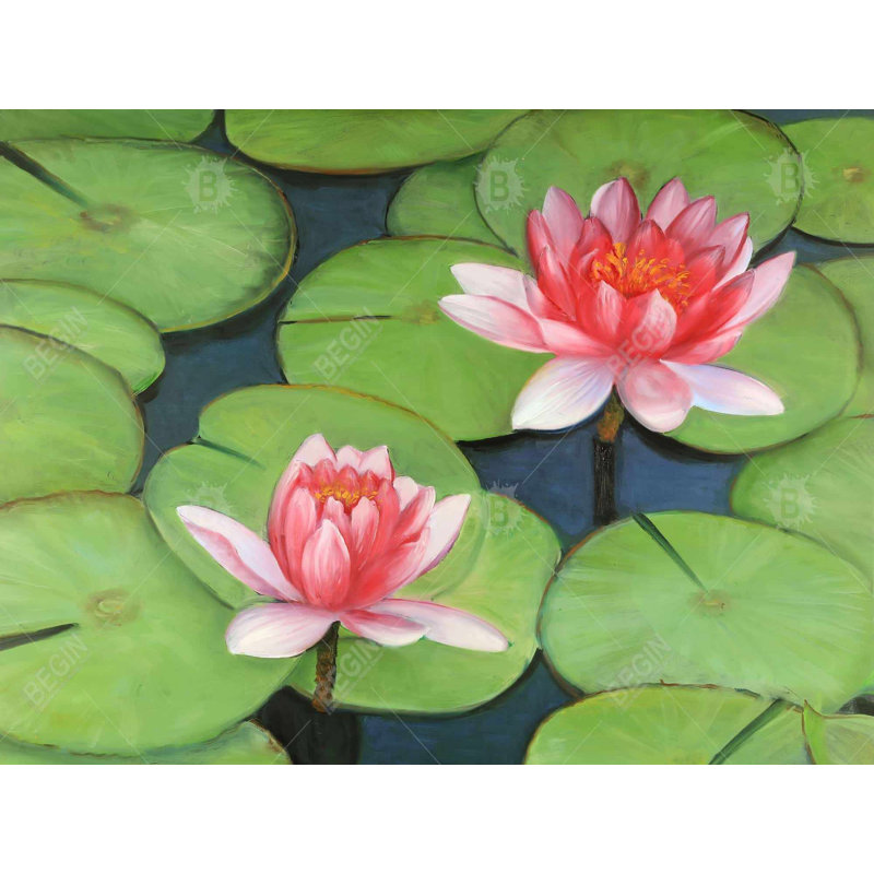 Fleurs de lotus dans un marais - Toile romantique pour la décoration intérieure, H 36 po x l 48 po