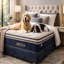 Dreams Artesa Pocket Sprung Mattress-124583292
