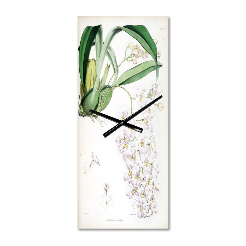 Horloge murale rétro Vintage White Orchid II, Grand