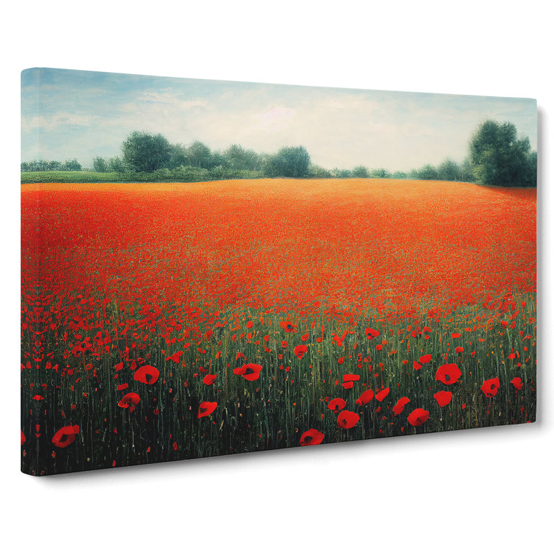 Evolving Poppy Field Flowers - Wrapped Canvas, 35cm H x 50cm W x 3cm D