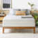 Wayfair Sleep™ 14" Plush Memory Foam Mattress
