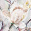 Andromeda 100% Cotton Performance Fabric