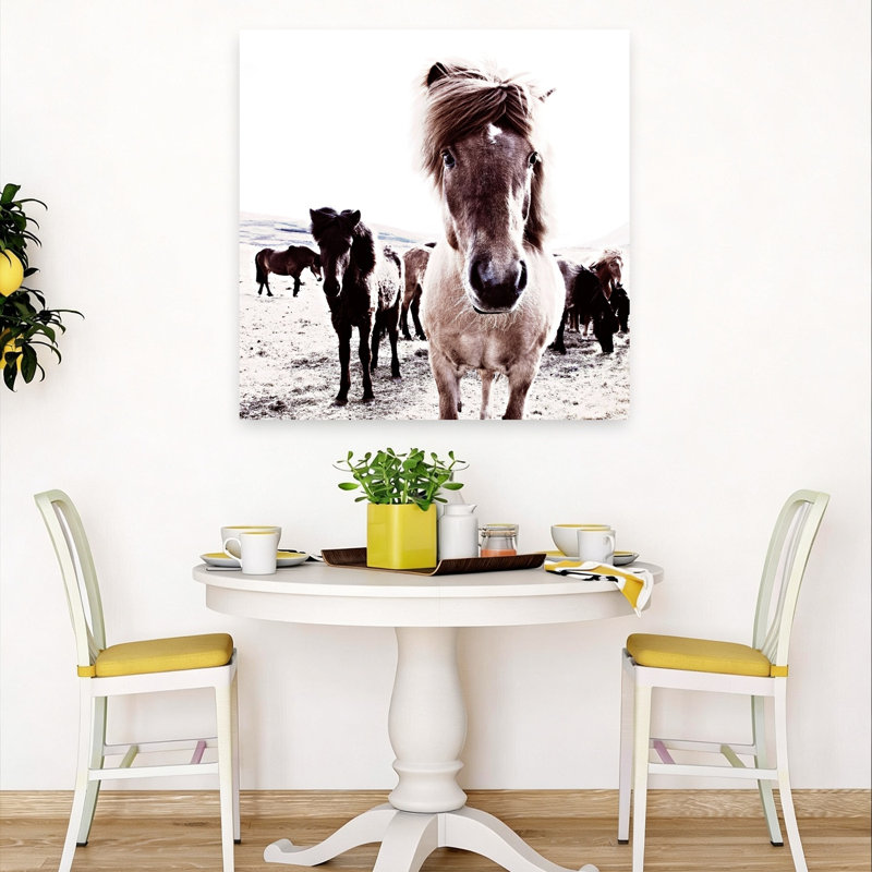 Islande, cheval, Rikka, art contemporain abstrait, paysage de cheval