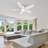  52'' DC Motor Ceiling Fan with a LED Light and Remote control-2022511958-2022511959