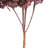 Natural Botanicals 15" Hydrangea with Multiple Branch Segments, Preserved-1594274024