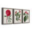 Ensemble de 3 peintures sur toile Roseat Blooms IV-1642987166-1642987167