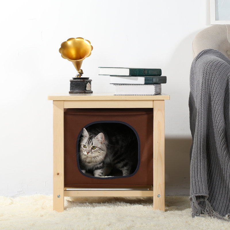 Cianciulli Cat House