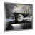 Silver Single Picture Framed selected