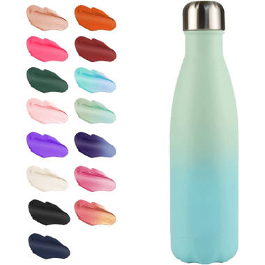 https://assets.wfcdn.com/im/89260819/resize-h380-w380%5Ecompr-r70/2152/215274021/Orchids+Aquae+Insulated+Stainless+Steel+Water+Bottle.jpg
