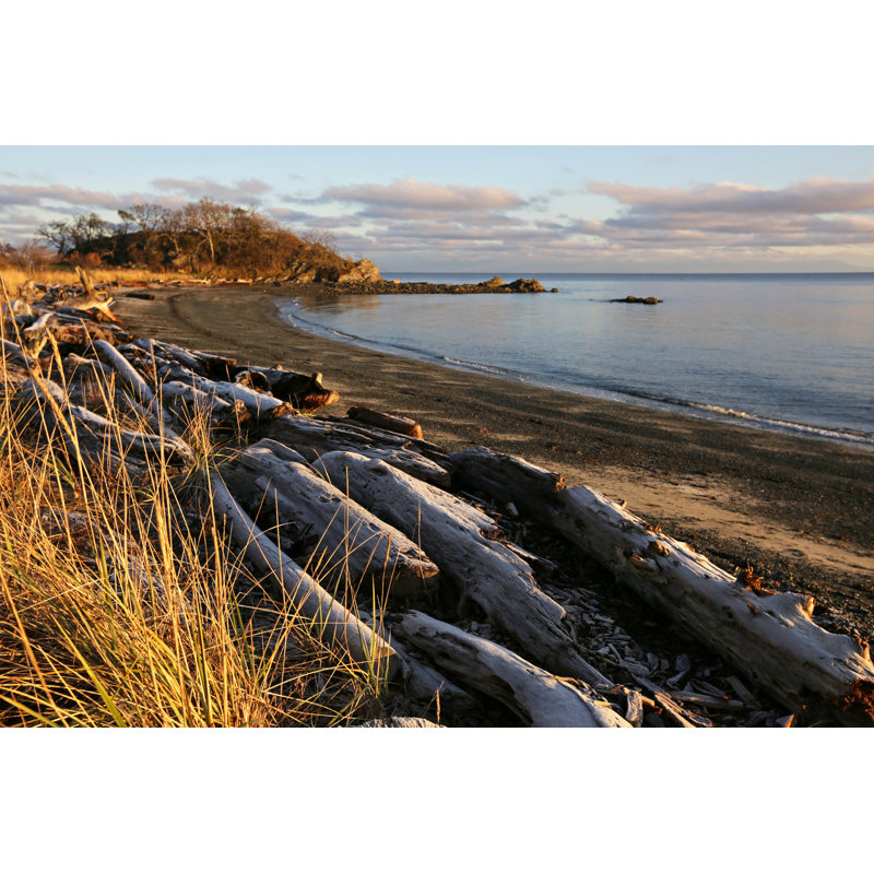 Logs On A West Coast Beach by KathrynHatashitaLee - No Frame Art Prints on Canvas, 30cm H x 46cm W